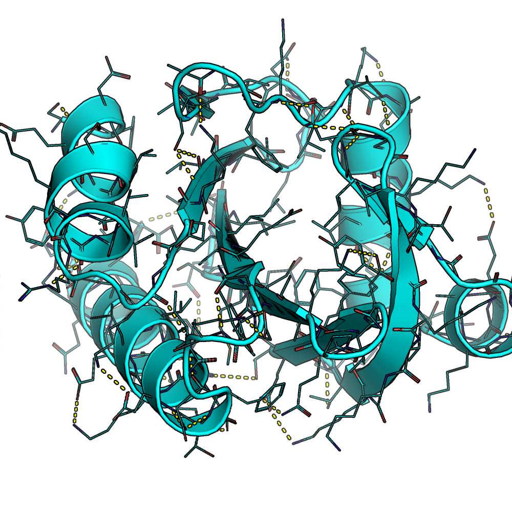 A screenshot of a protein modeled in PyMol