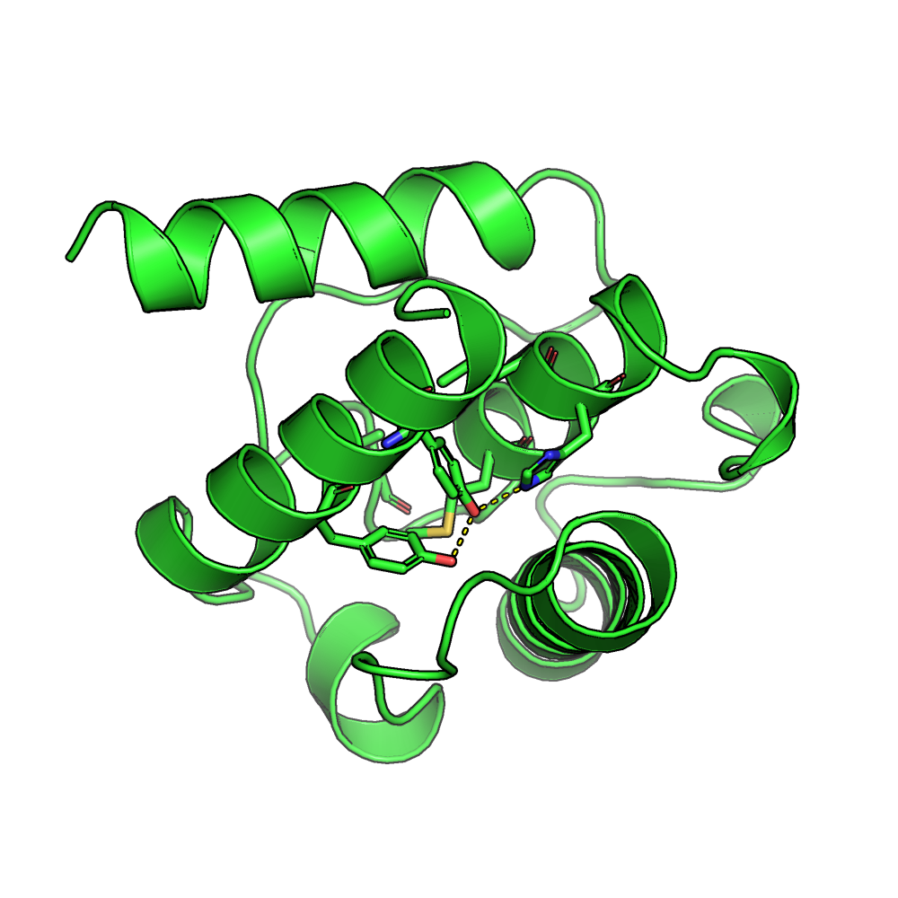 An all-alpha protein with hydrogen bonds between core side-chains.